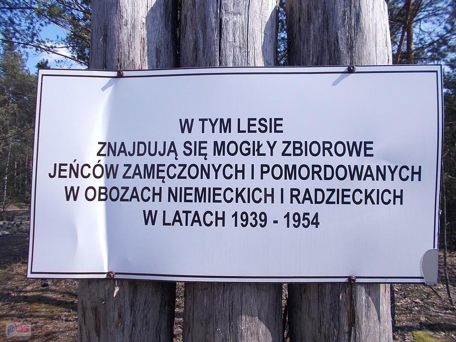 Mogiły zbiorowe na poligonie w Świętoszowie