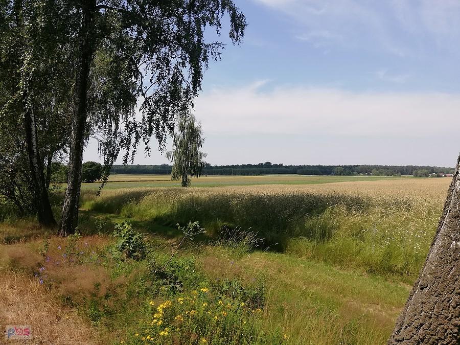 W okolicy Nowostaw Górnych