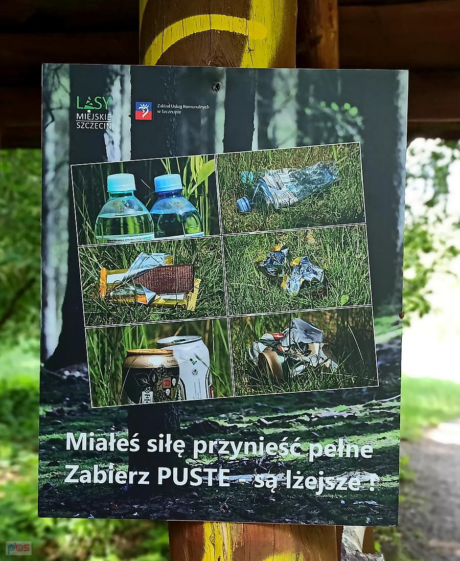 Apel na progu lasu.