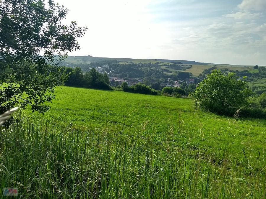 Nad Pilicą