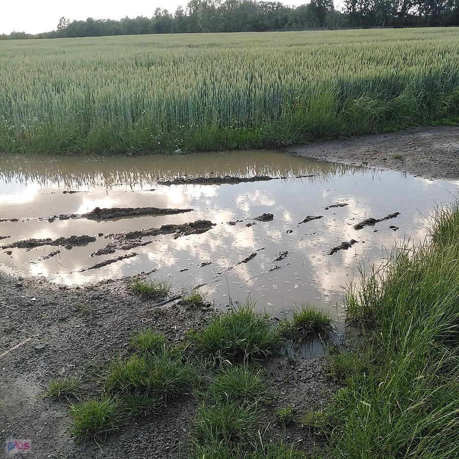 ta kałuża przyczyną utopienia stopy