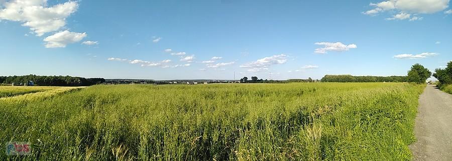 panorama