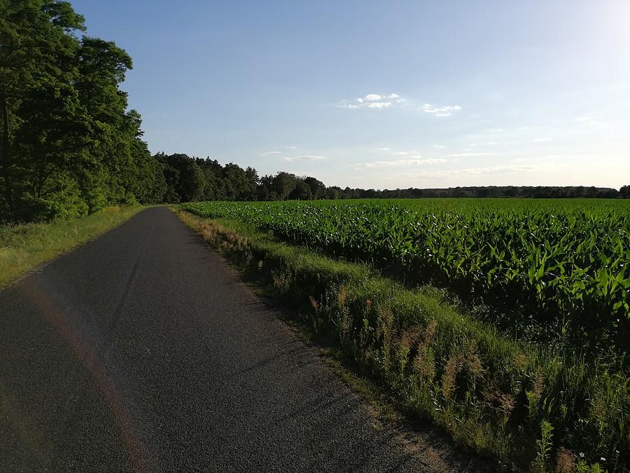 Bezchmurne niebo ale dosyć wietrznie, dzięki czemu temperatura powietrza nie dawała się tak we znaki jak w weekend.