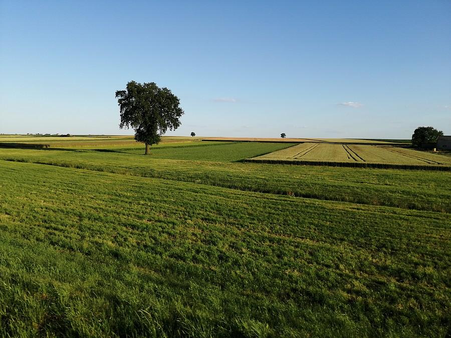 Krajobraz pól.