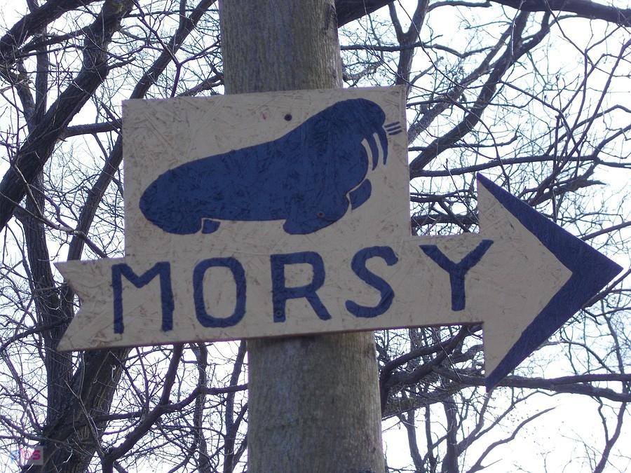 Morsy pomiędzy Rudawicą, a Trzebowem