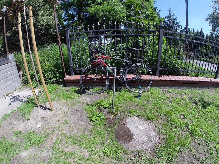 Wodopój numer jeden - Leszno