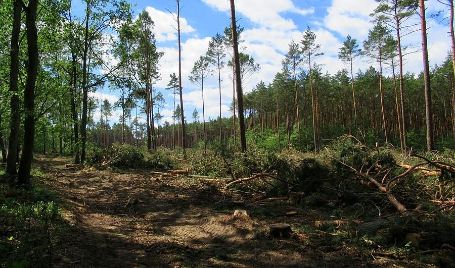Polska, coraz piękniejsza....................