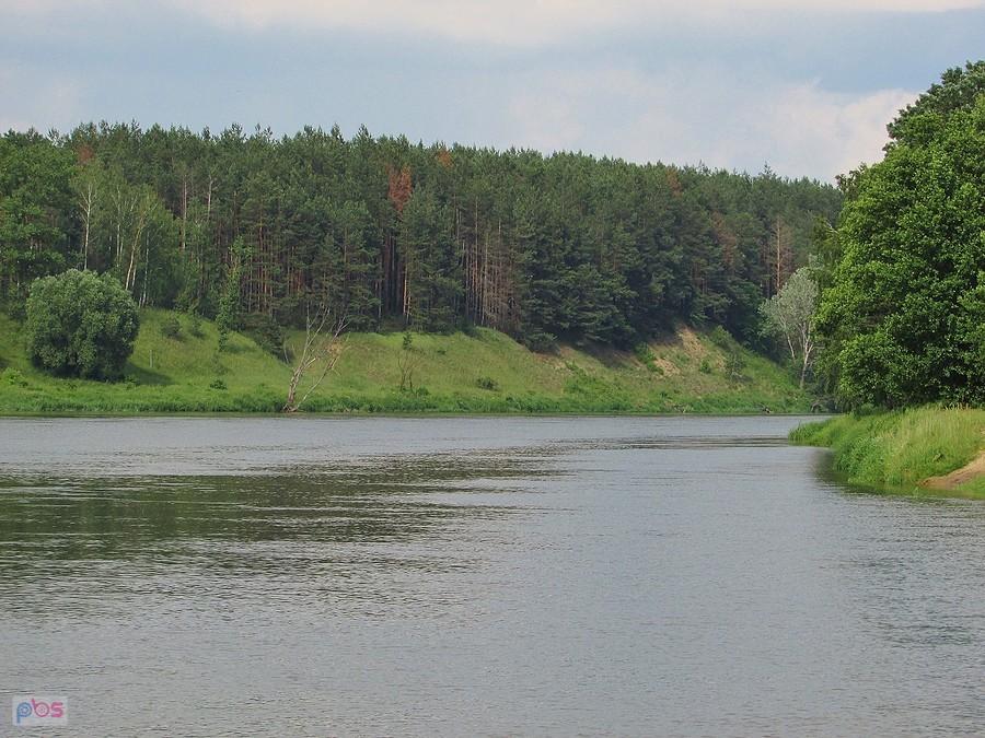 Przełom Bugu - w tym miejscu Bug wpływa całkowicie na teren Polski