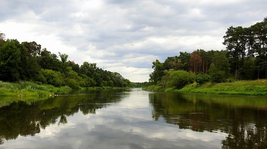 Rzeka Warta - widok z Puszczykowa (Wielkopolski Park Narodowy)