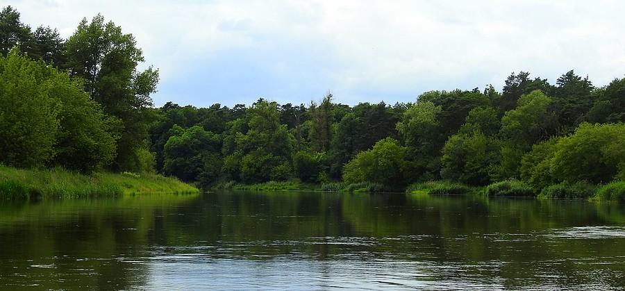 Zakola Warty ((Wielkopolski Park Narodowy)