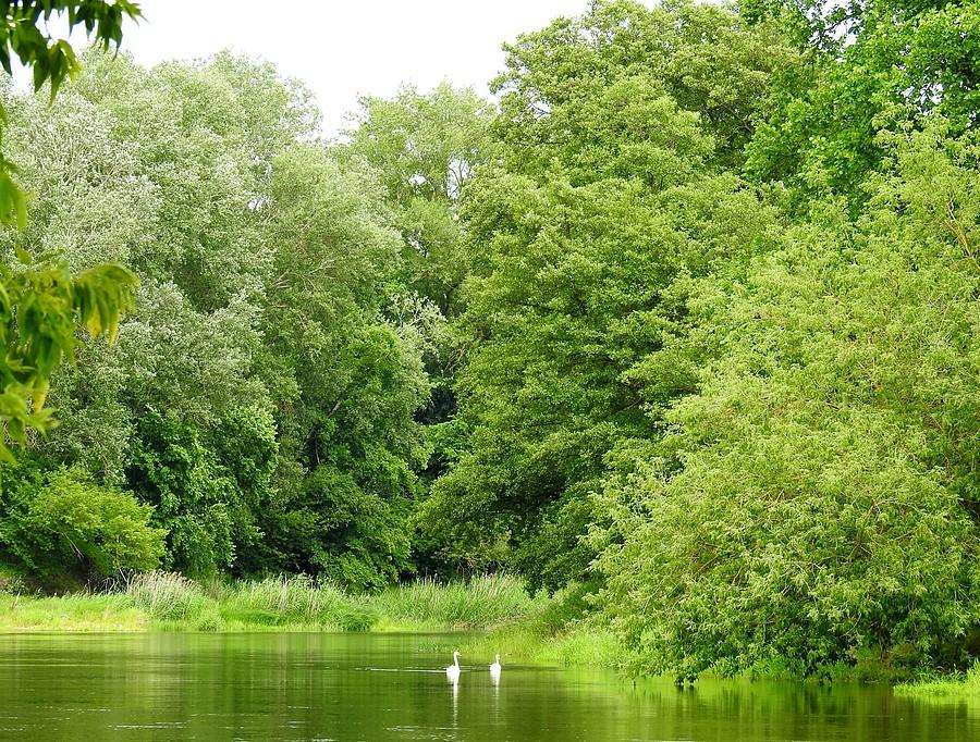 Świat harmonii ((Wielkopolski Park Narodowy)