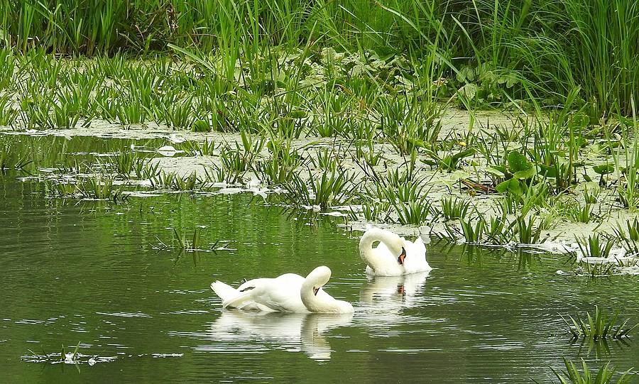 Higiena to podstawa (Wielkopolski Park Narodowy)