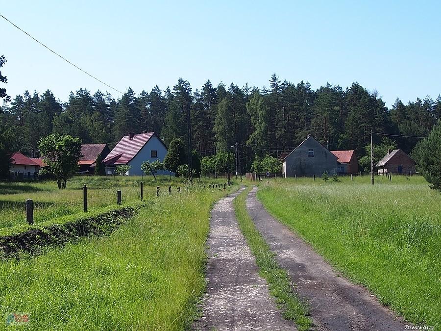 Zagubiona w czasie. Kopina.