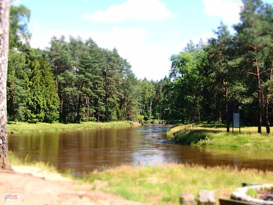 Mała Panew w Zawadzkiem