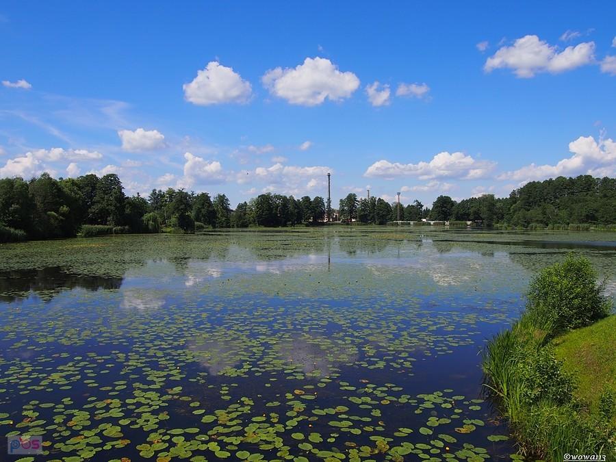 Staw Hutniczy w Zawadzkiem