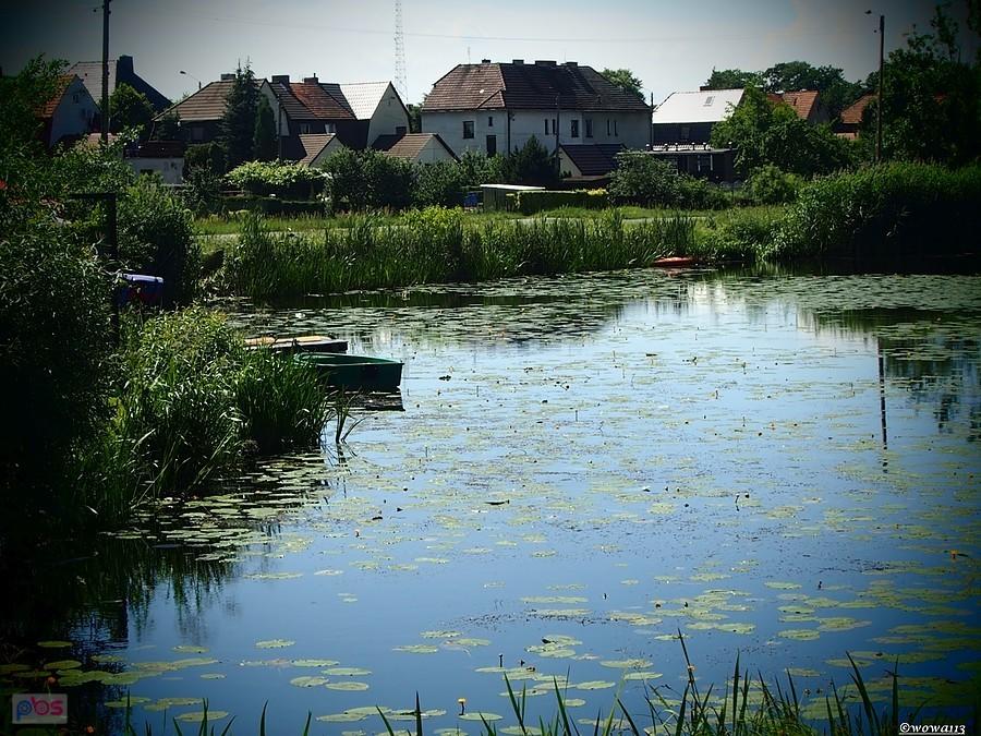 Staw Hutniczy