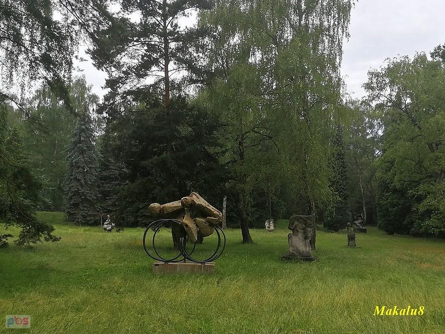 Kolarze w deszczu