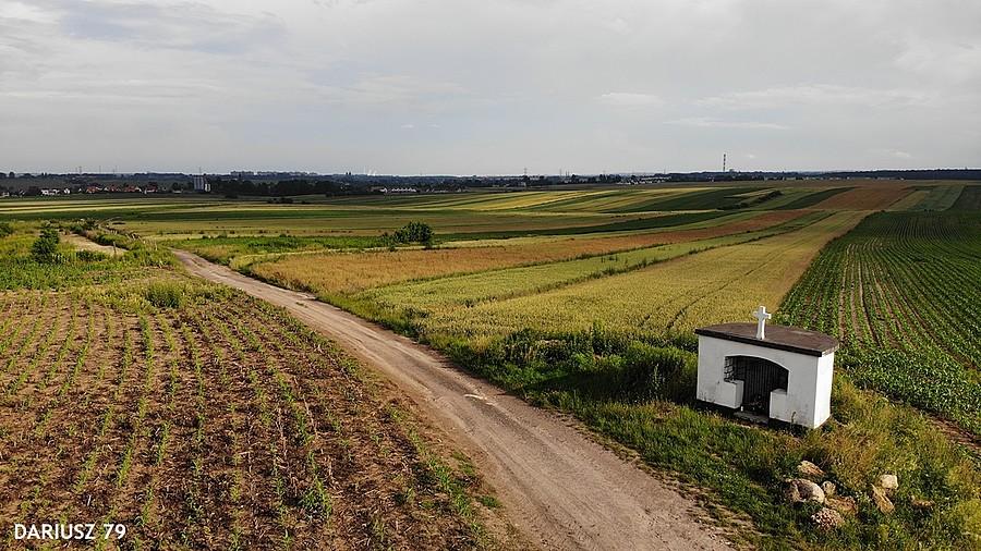 Przełajka - Siemianowice Śląskie