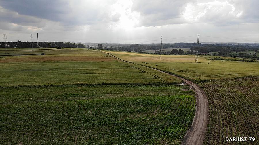 Przełajka - Siemianowice Śląskie