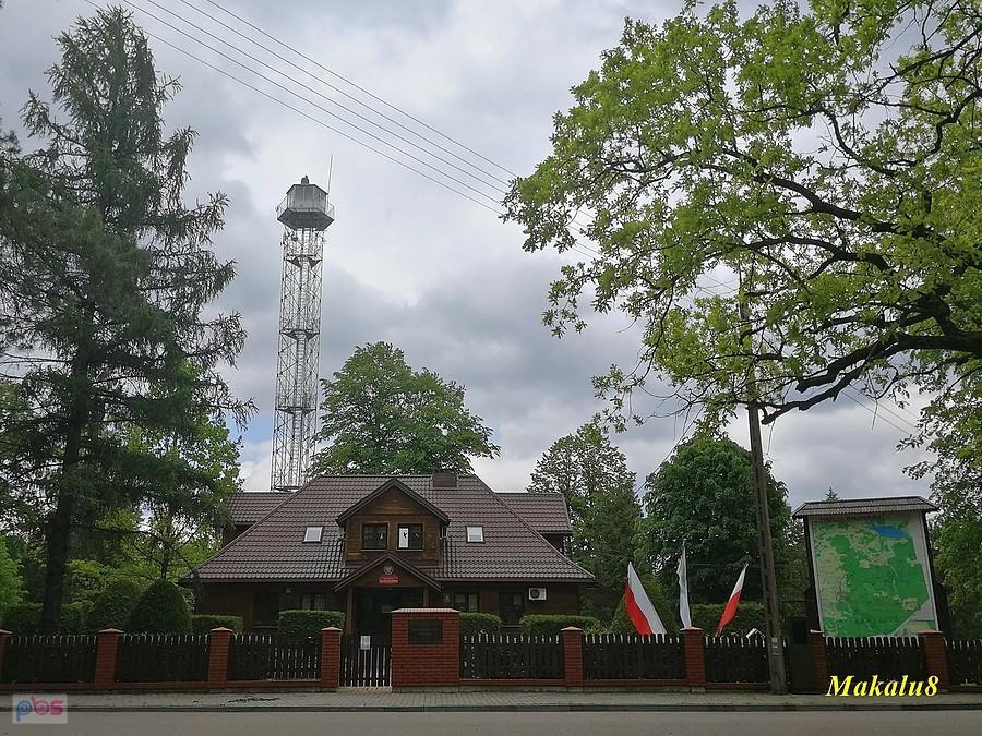 Nadleśnictwo Browsk w Gruszkach