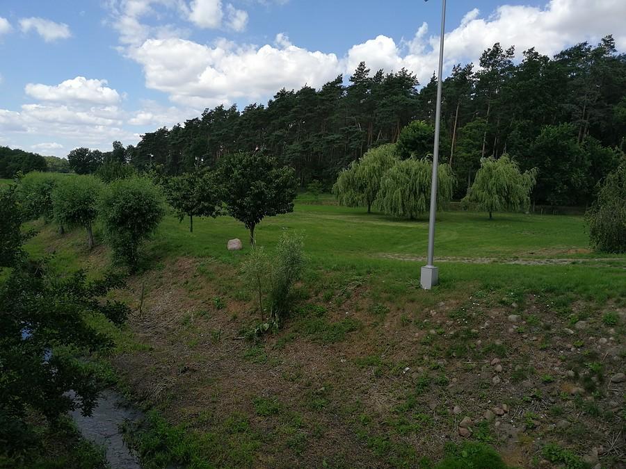 W oddali, chyba rzadko już spotykane, wierzby płaczące.