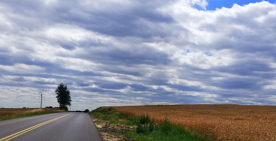 Błękit fajny, ale zieleni drzew brakuje, Okolice Dymaczewa