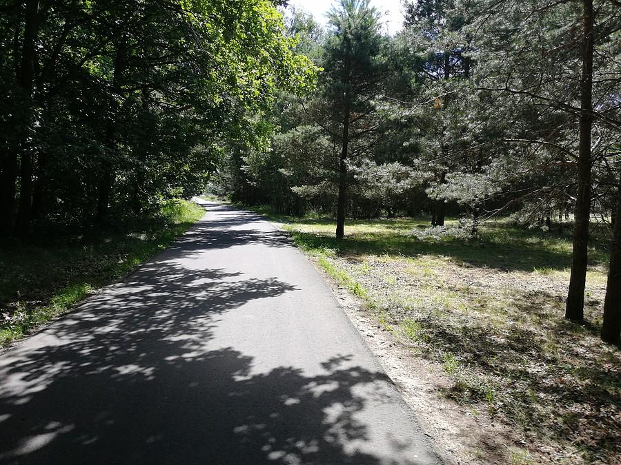 Przed Cieszkowem skręcam na Zwierzyniec, gdzie przez las prowadzi nowiutki asfalcik.