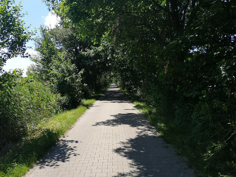 Przejazd przez stawy milickie.