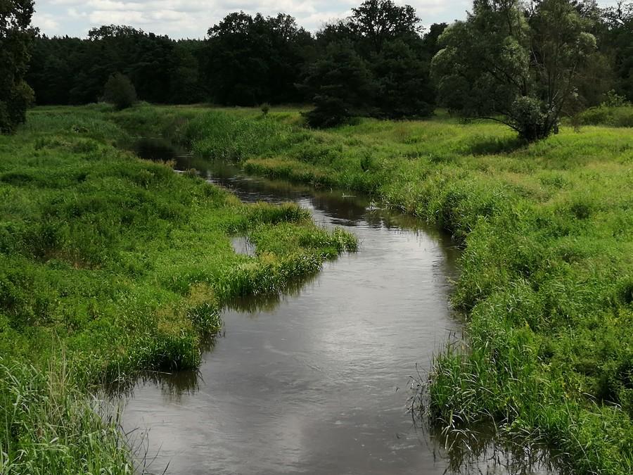 Przejeżdżając przez Dolinę Baryczy, grzechem byłoby nie uwiecznić tytułowej rzeki.
