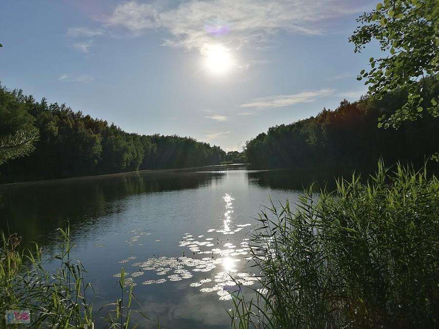 Zachód słońca nad stawem Cegielnia
