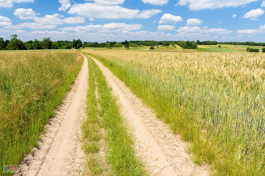 Piaszczysta droga przez Mzyki - najlepiej jechało się środkiem