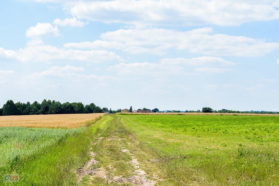 Pola w pobliżu Bukowca - integralnej części wsi Strzebiń