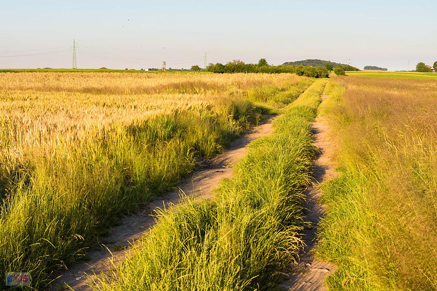 Bukowiec - Strzebiń, czyli droga z pierwszej części trasy, tym razem popołudniową porą.