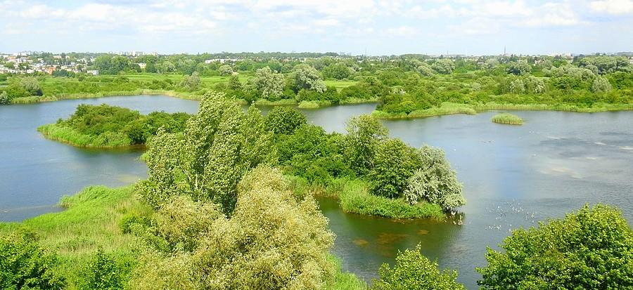 Widok na Poznań, Szachty
