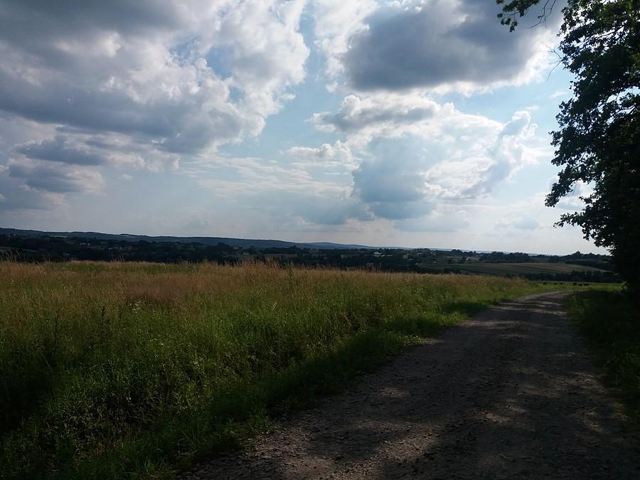 Widok z Grzegorzówki.