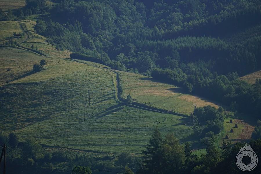 ścieżka na Górę Grzywacką w porannym słońcu