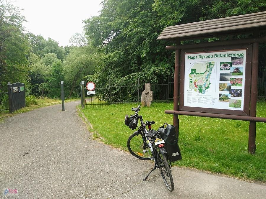 Ogród botaniczny-Myślęcinek