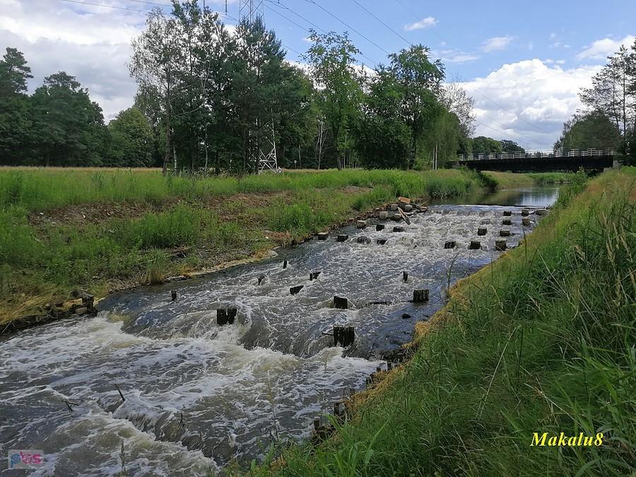 Leniwa Bierawka