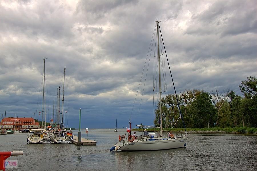 marina w Trzebieży