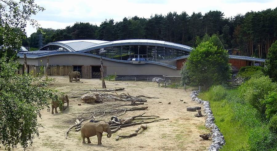 Wypasiona słoniarnia, ZOO Poznań