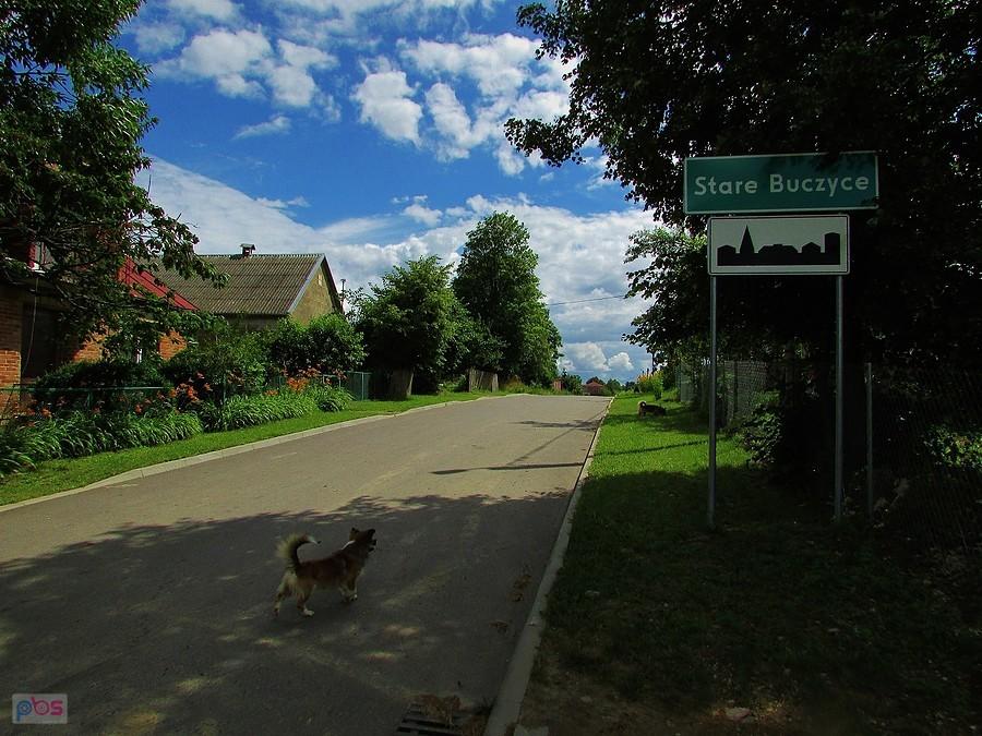 Stare Buczyce