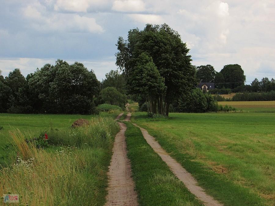Polną drogą do Janowa Podlaskiego