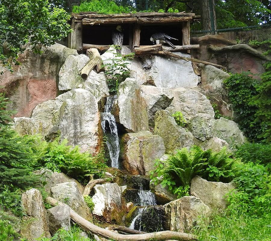 Świetnie wykonana woliera orłosępów, ZOO Poznań