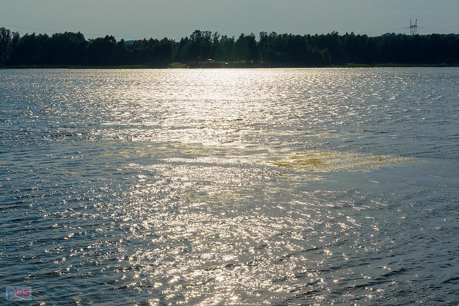 Zbiornik wodny "Poraj" widziany z podłudniowego brzegu w Masłońskim