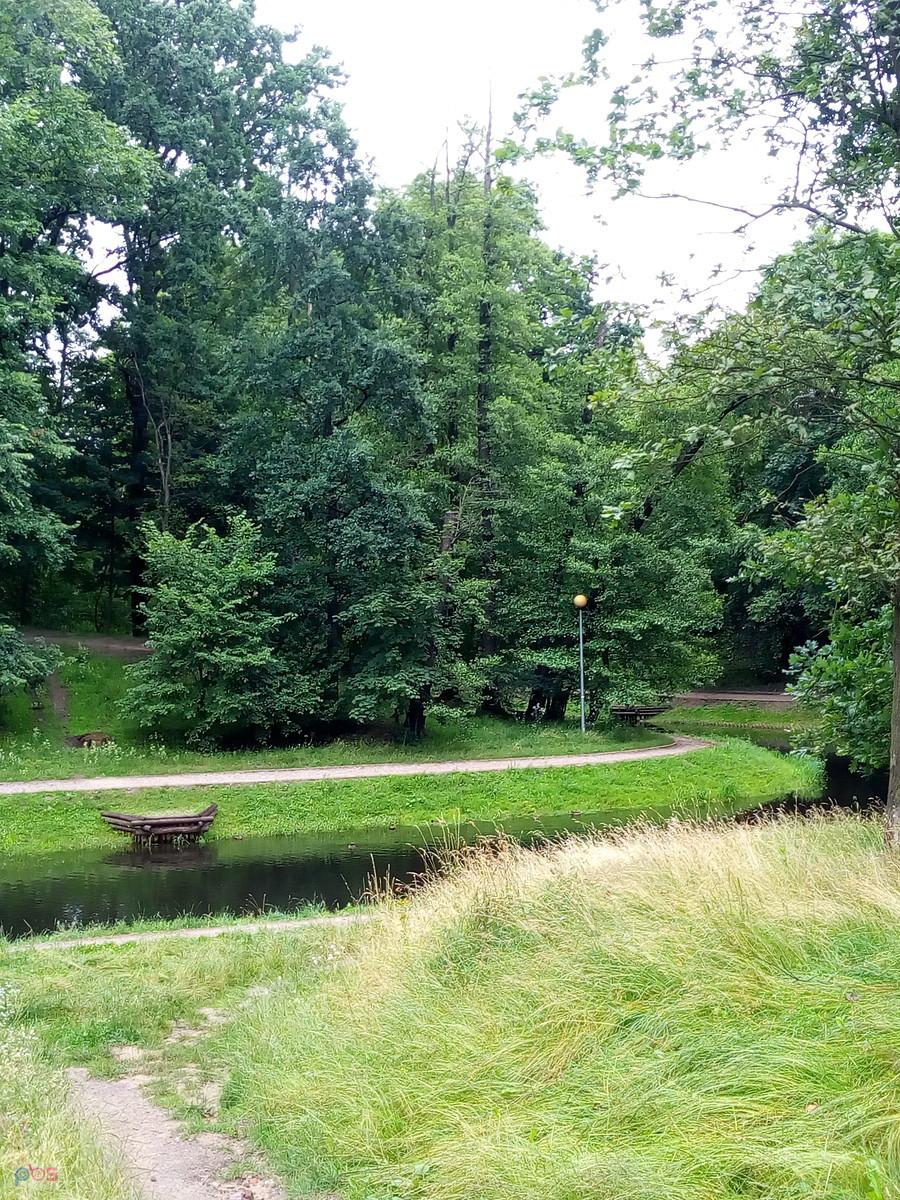 Fosa w parku
