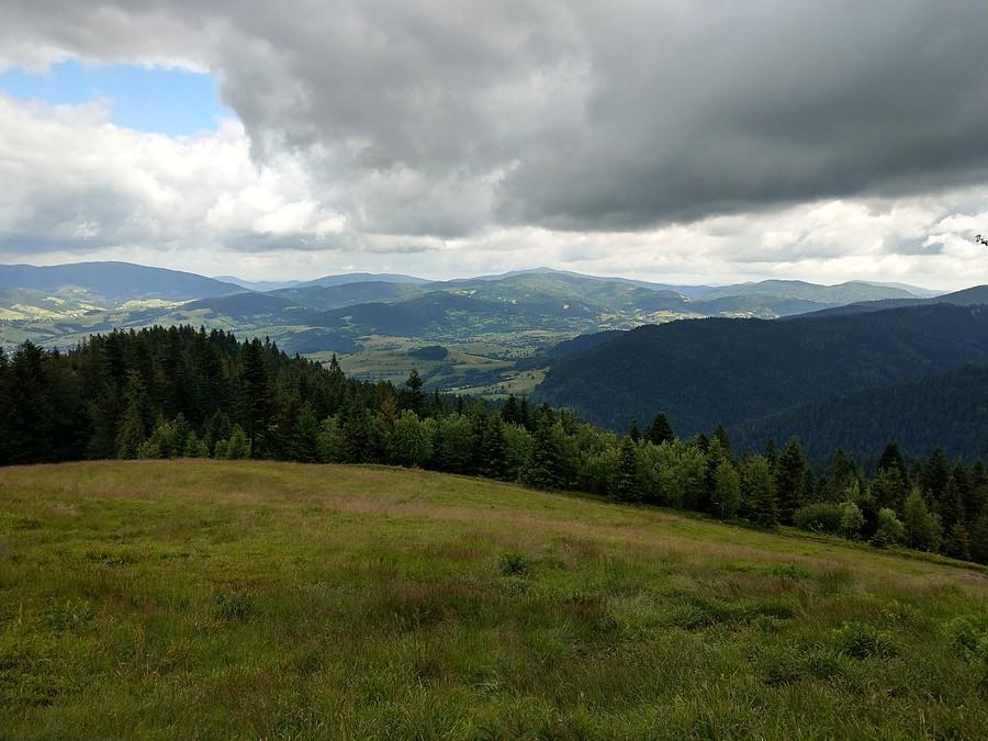 Widoczek II