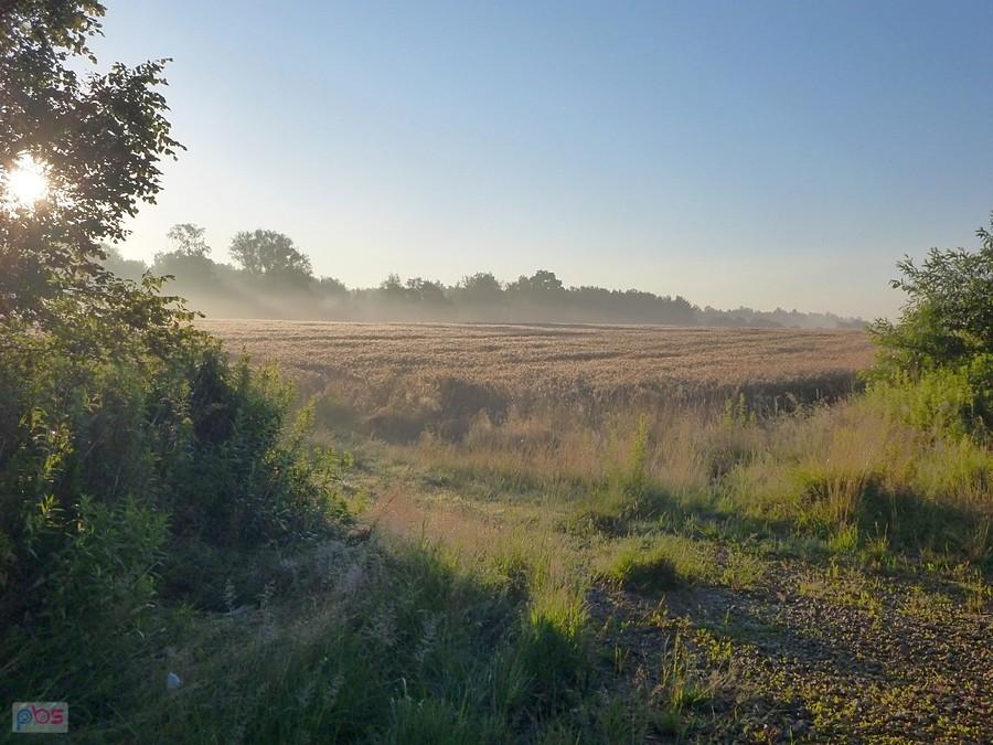 Wstaje nowy dzień