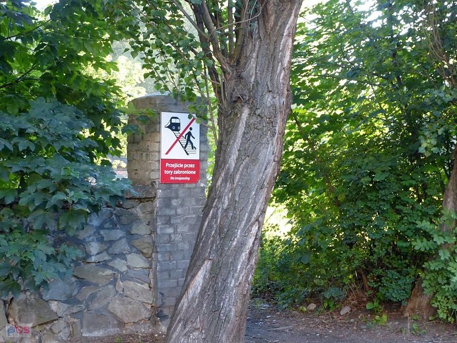 Nie wszyscy potrafią czytać