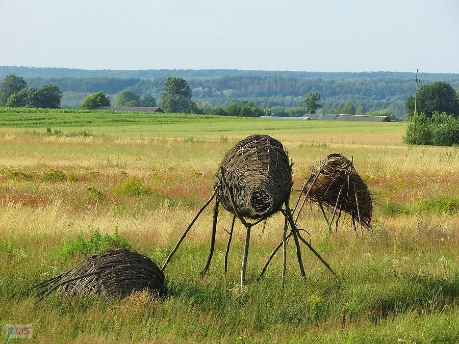 Pamiątka Landart Festiwalu 2017