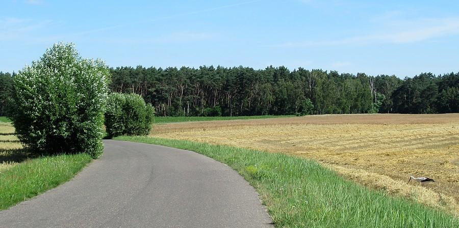 Na lewo skręt, na prawo bociek